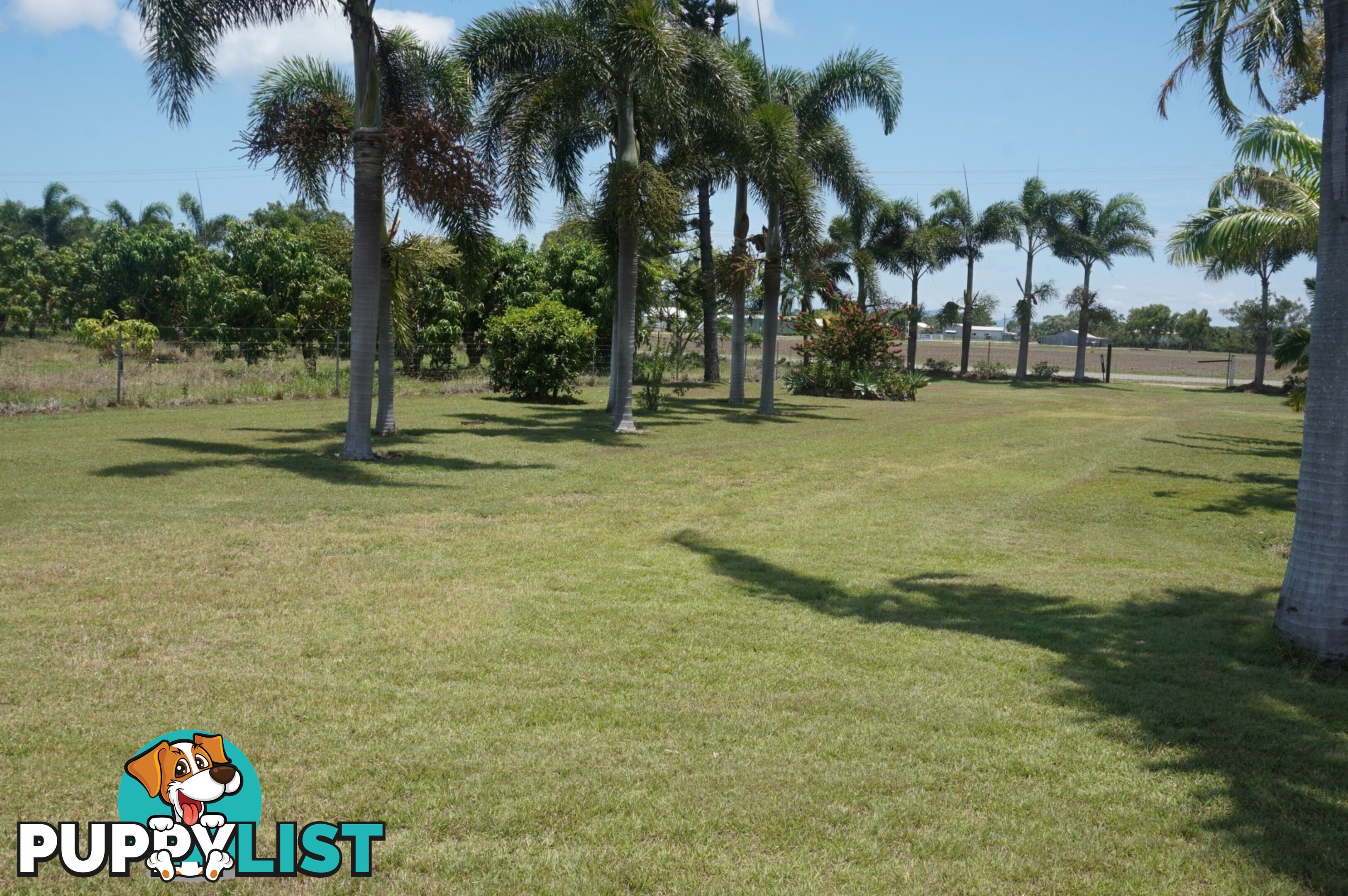 12 Inverdon Road BOWEN QLD 4805
