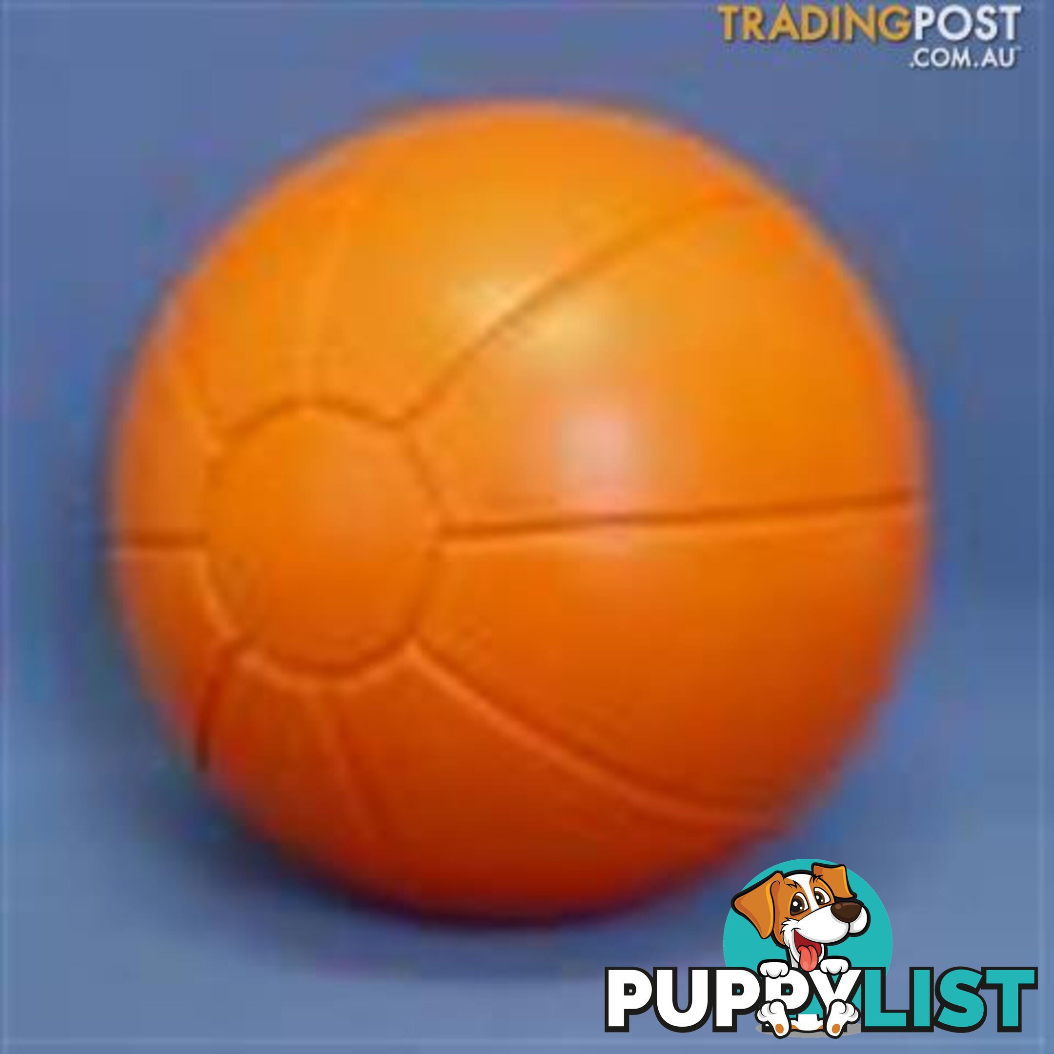 Staffie Ball - StockCode: 48Y3HC