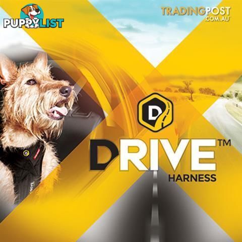 SMALL EZY DOG DRIVE CAR HARNESS - StockCode: 22NHLV