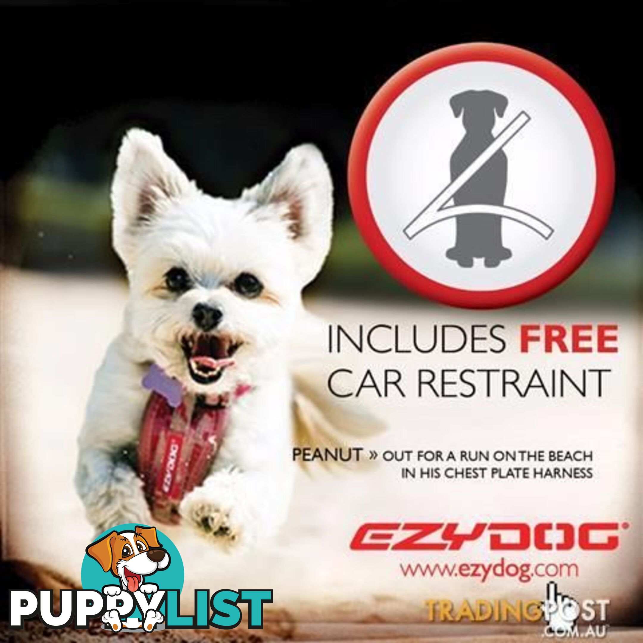 EXTRA SMALL EZY DOG CHEST PLATE HARNESS - StockCode: T3XQ45