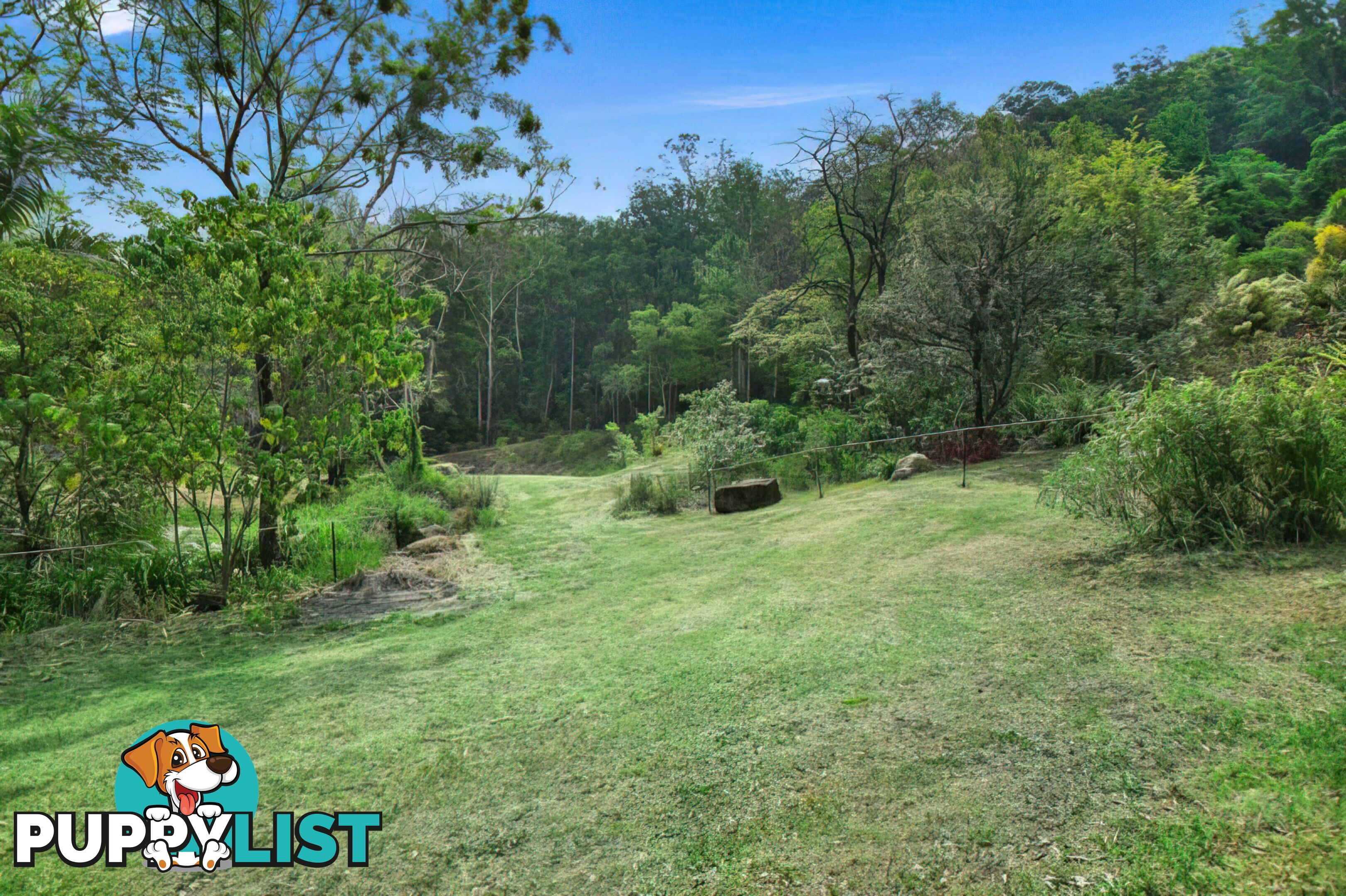 80 Kirbys Rd Montville QLD 4560