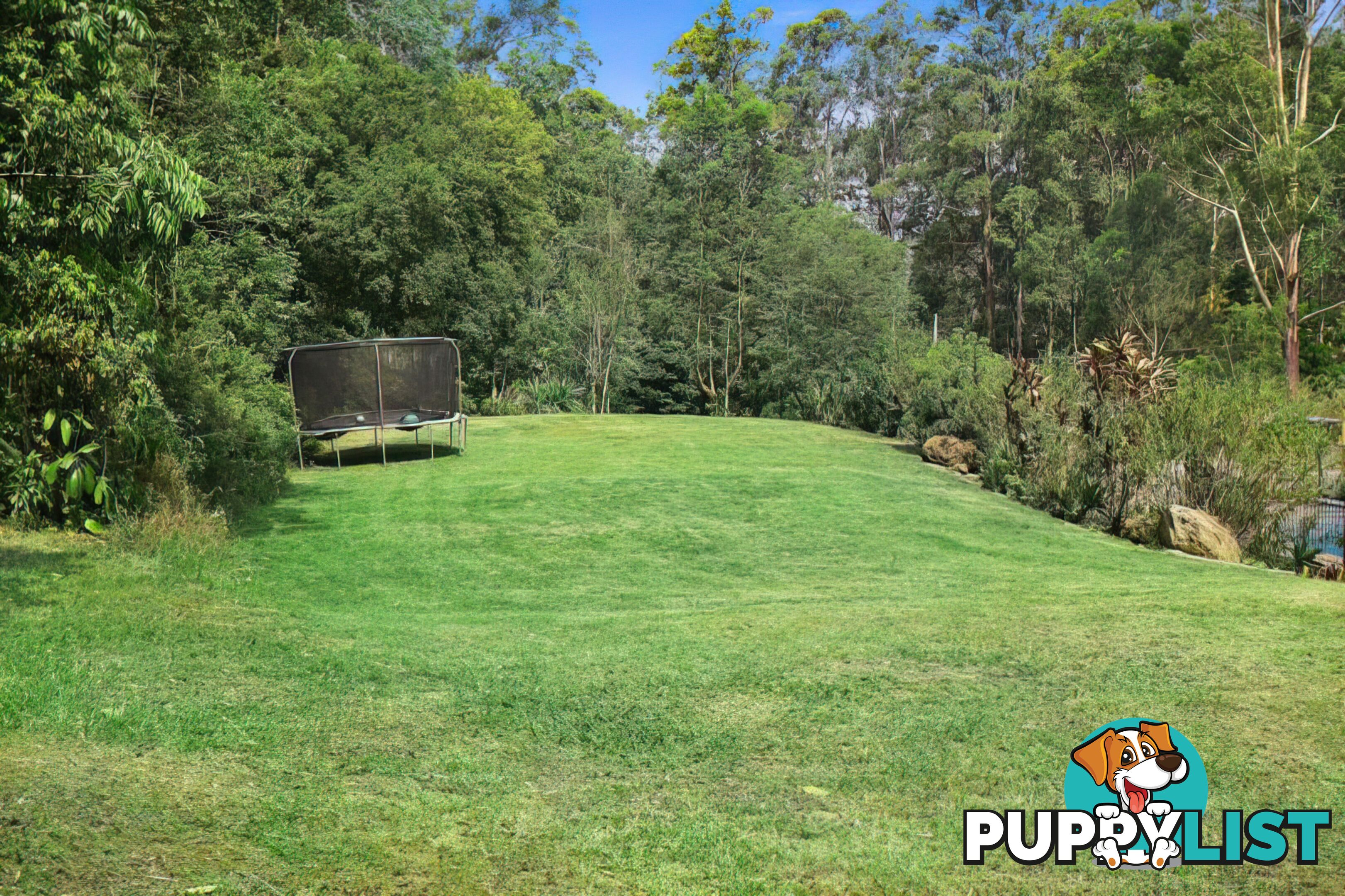 80 Kirbys Rd Montville QLD 4560