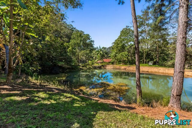 80 Kirbys Rd Montville QLD 4560