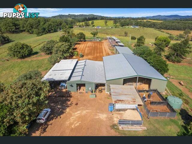 101 Knobby Glen Rd Kandanga QLD 4570