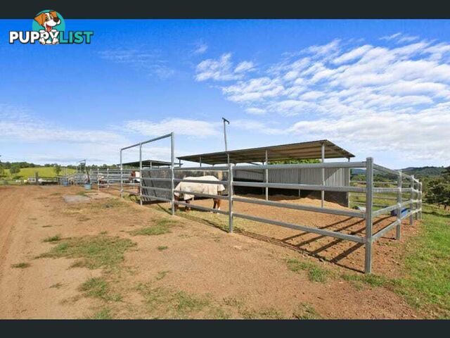 101 Knobby Glen Rd Kandanga QLD 4570