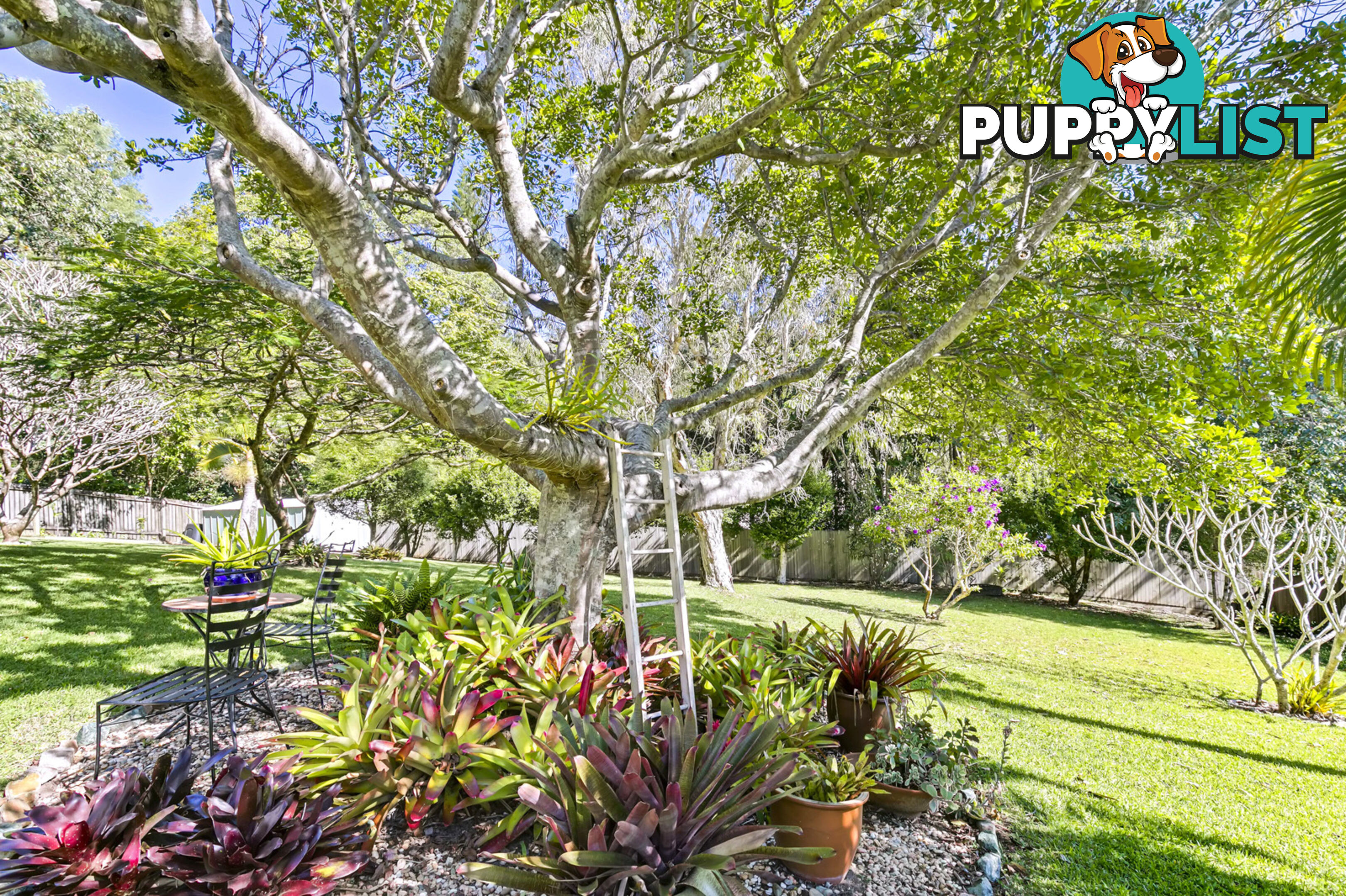 6 Clearview Ct Buderim QLD 4556