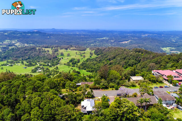 116 Main St Montville QLD 4560