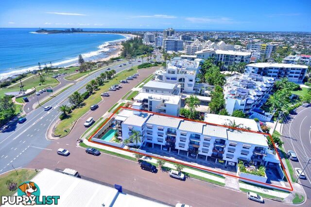 Unit 3 1 Mandin St Alexandra Headland QLD 4572