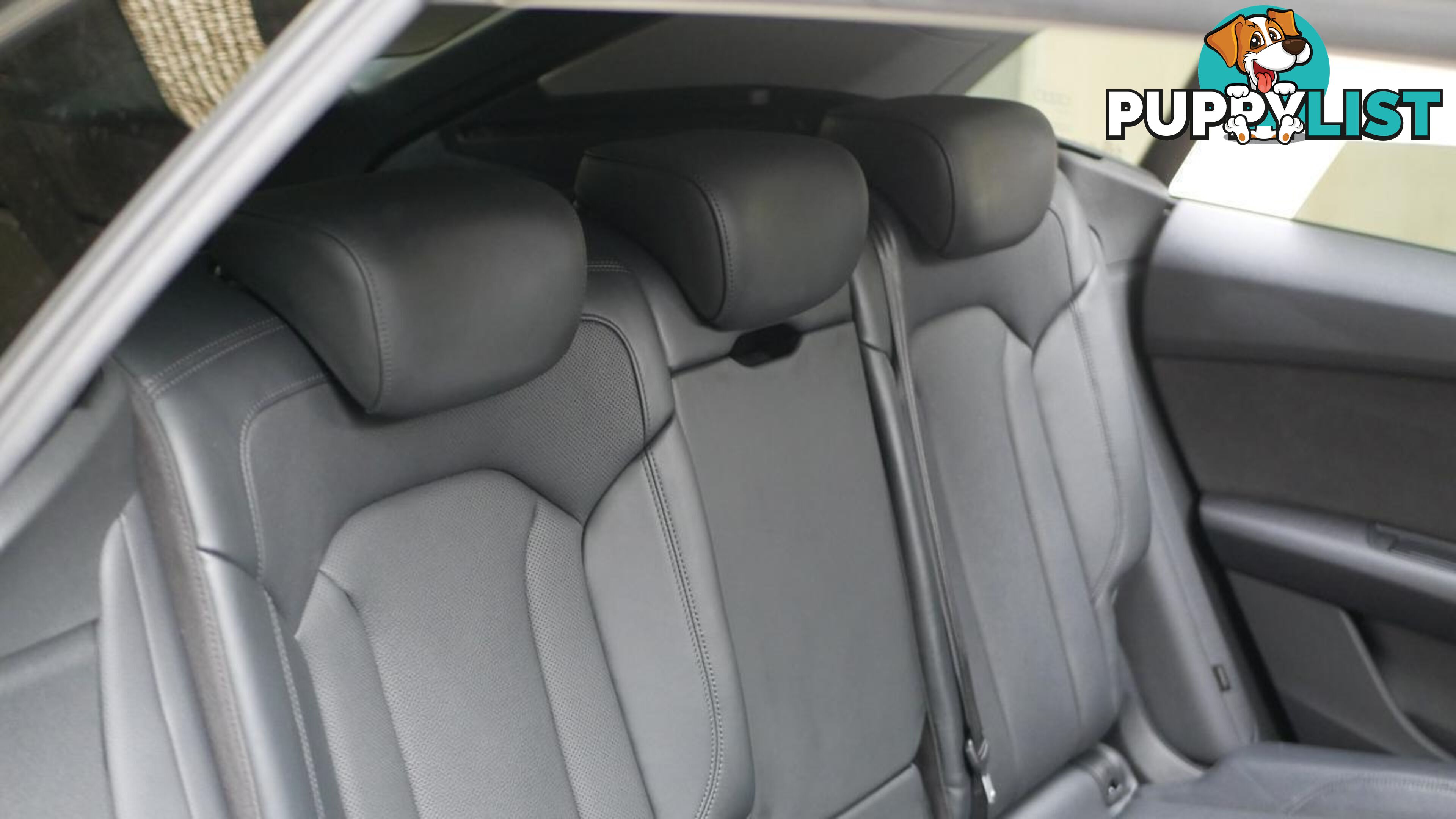 2021 Audi Q8  4M F1 MY22 55 TFSI Tiptronic Quattro S Line Wagon