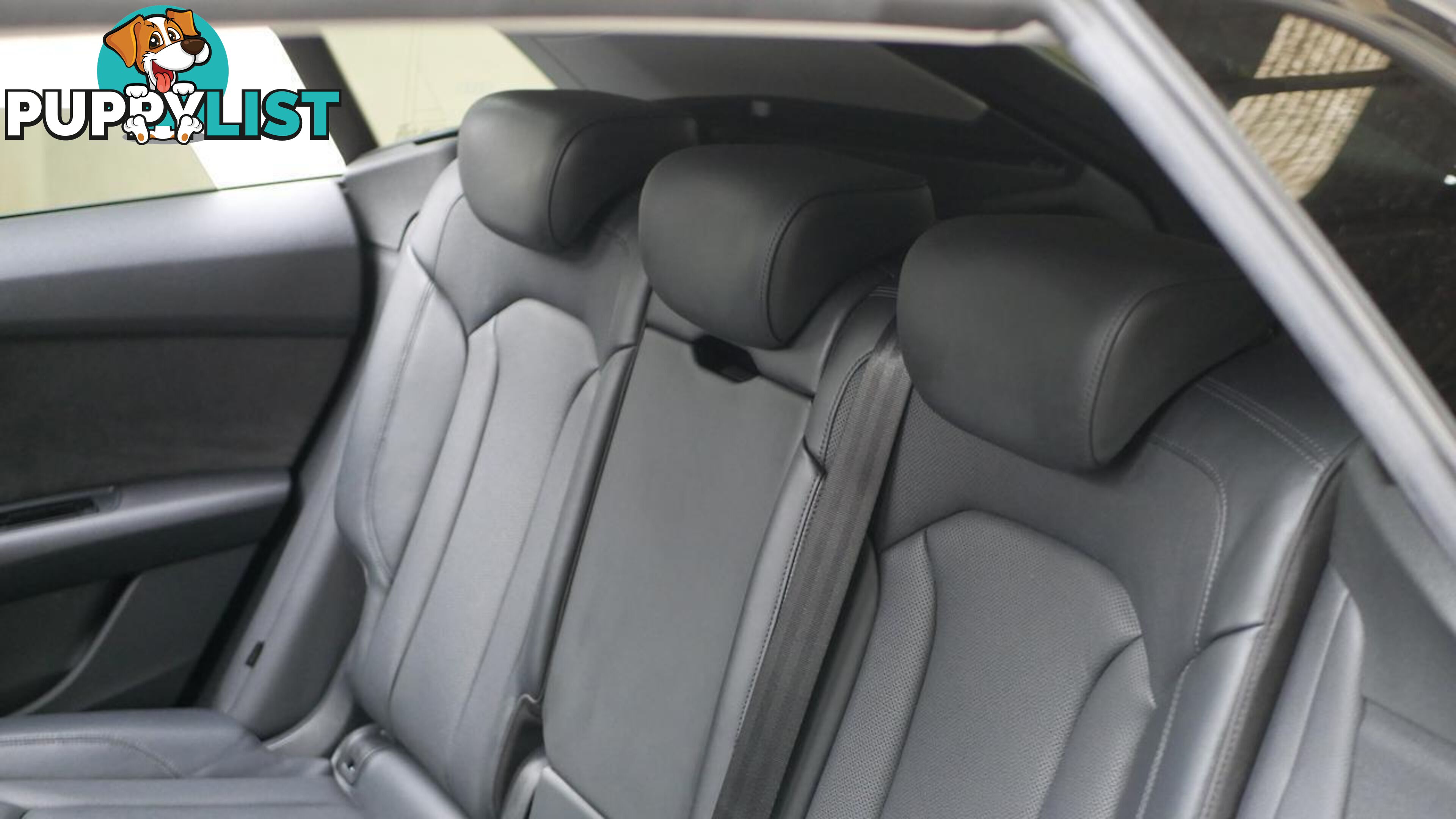 2021 Audi Q8  4M F1 MY22 55 TFSI Tiptronic Quattro S Line Wagon