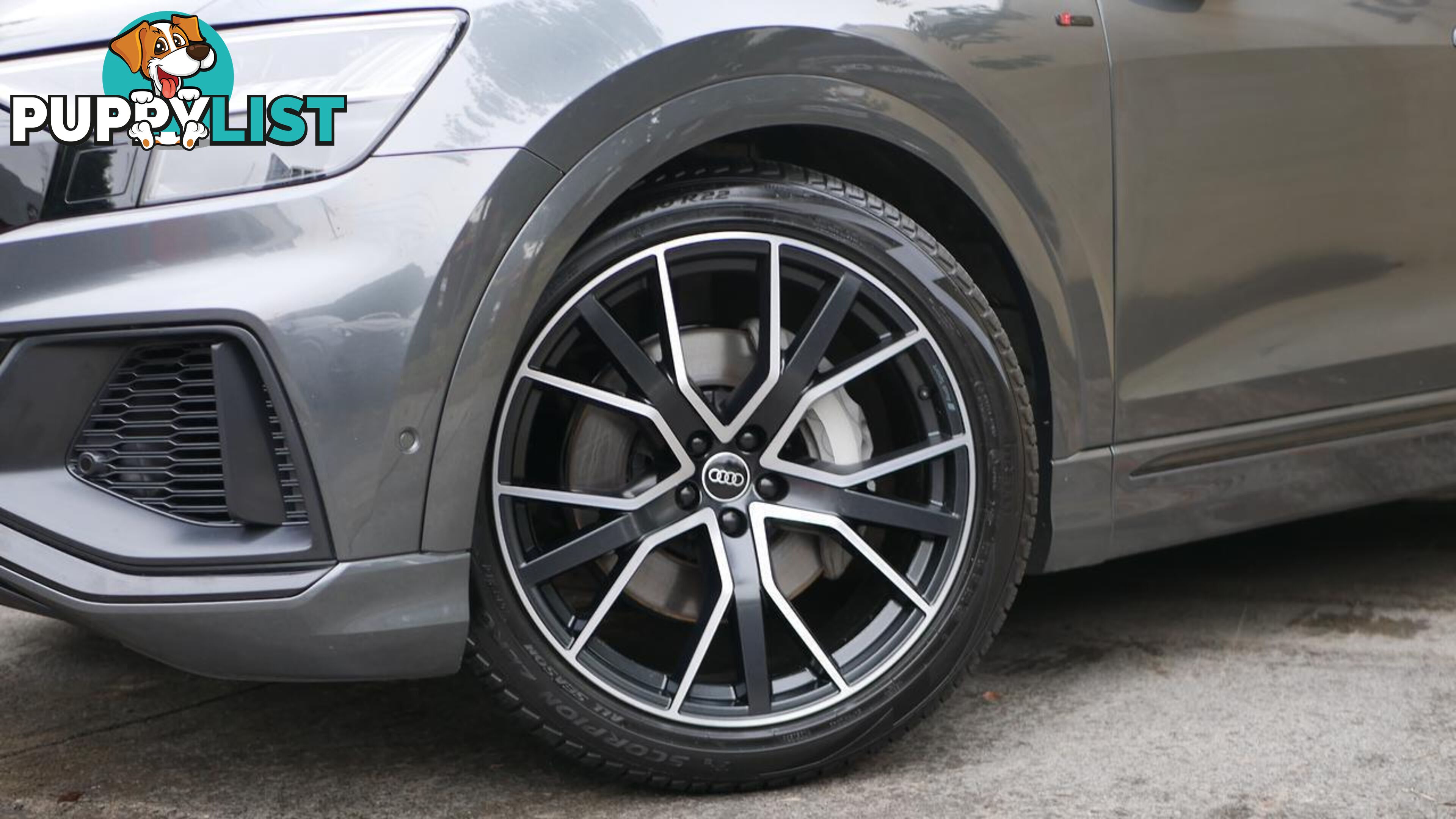 2021 Audi Q8  4M F1 MY22 55 TFSI Tiptronic Quattro S Line Wagon