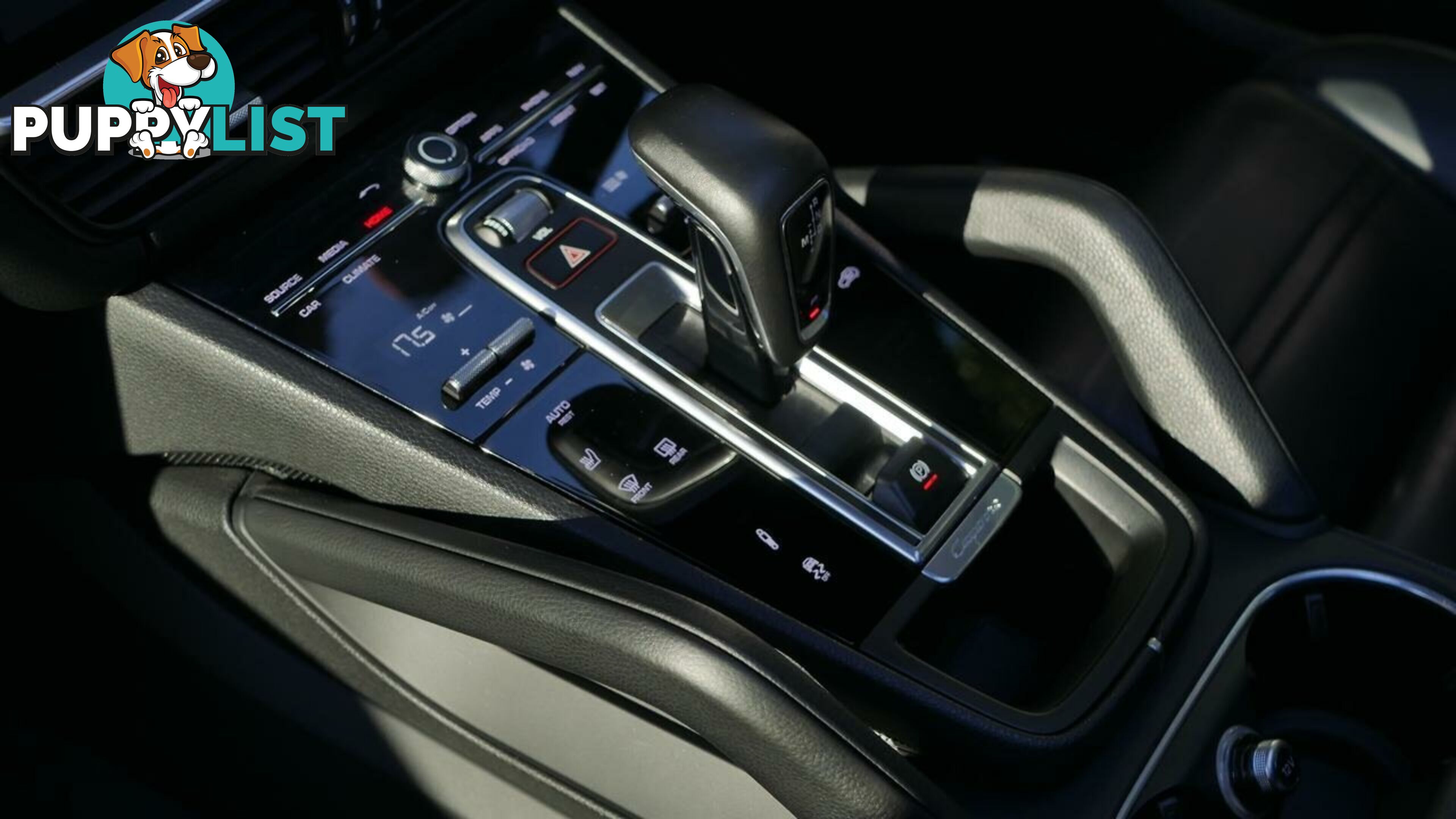 2020 Porsche Cayenne  9YA MY20 S Tiptronic Wagon