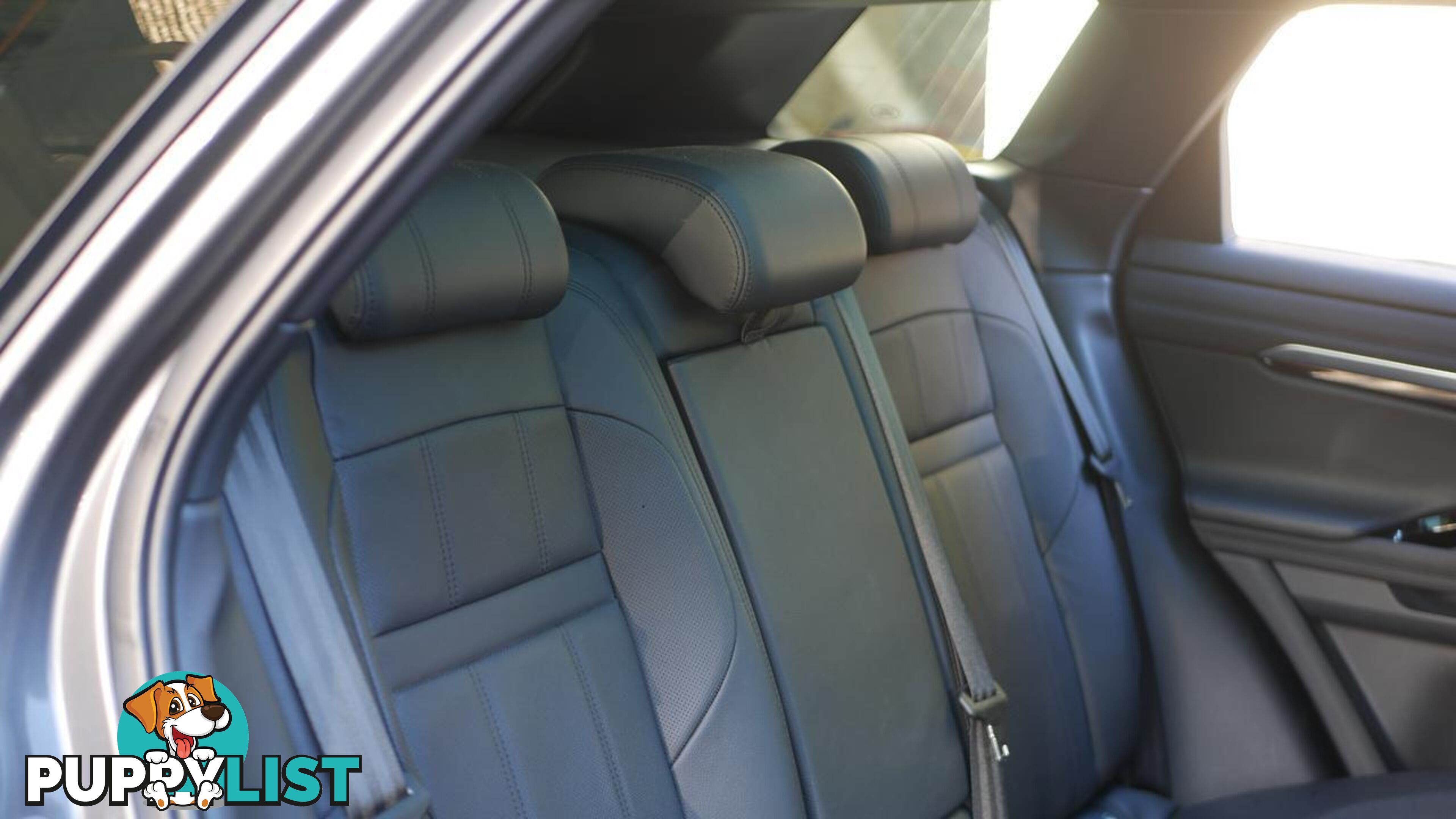 2019 Land Rover Range Rover Evoque  L551 20MY SE Wagon