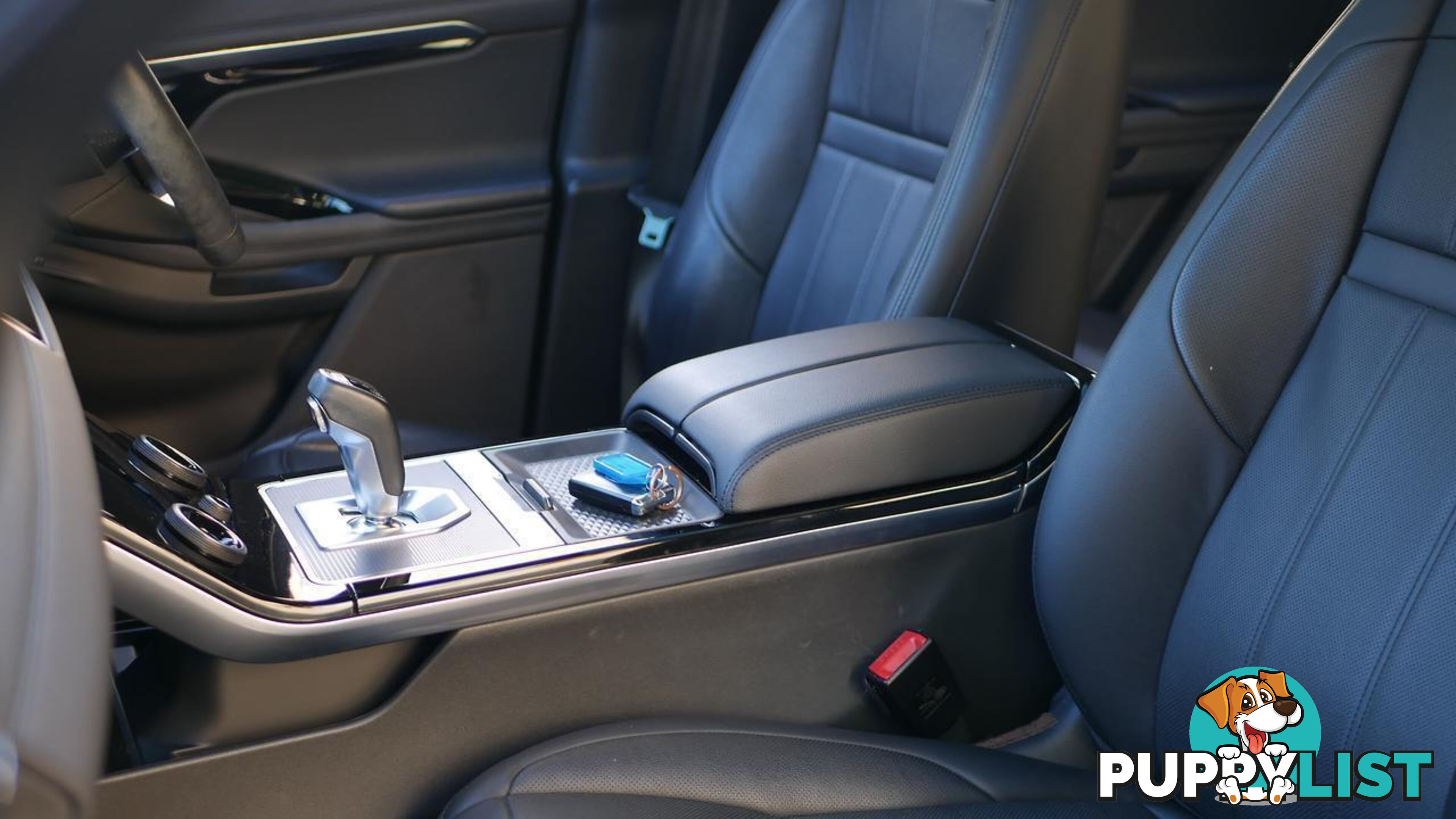 2019 Land Rover Range Rover Evoque  L551 20MY SE Wagon