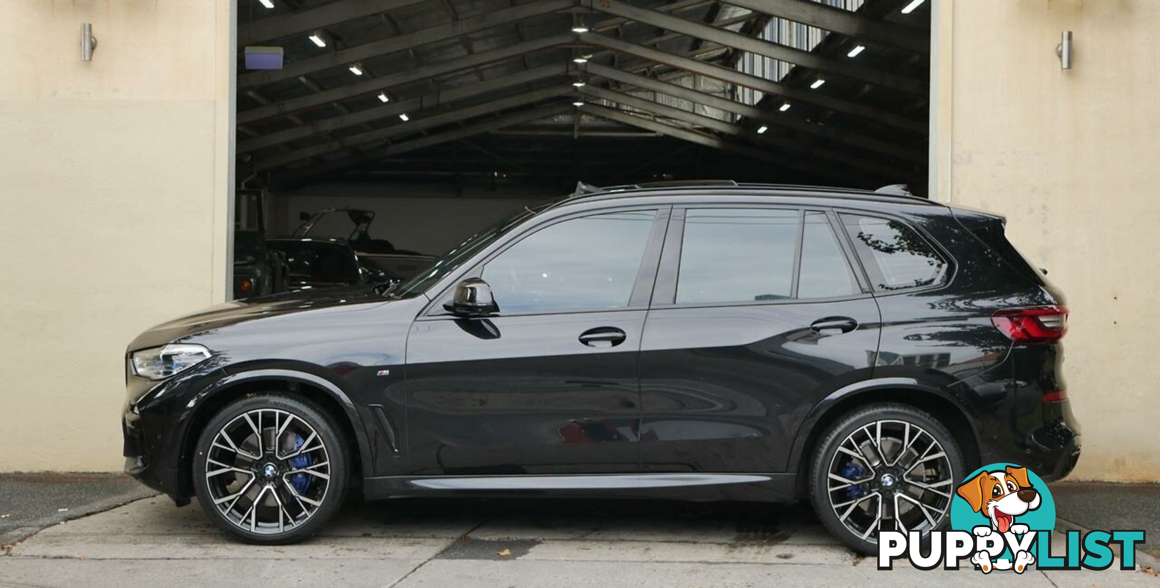 2020 BMW X5  G05 xDrive30d Steptronic M Sport Wagon