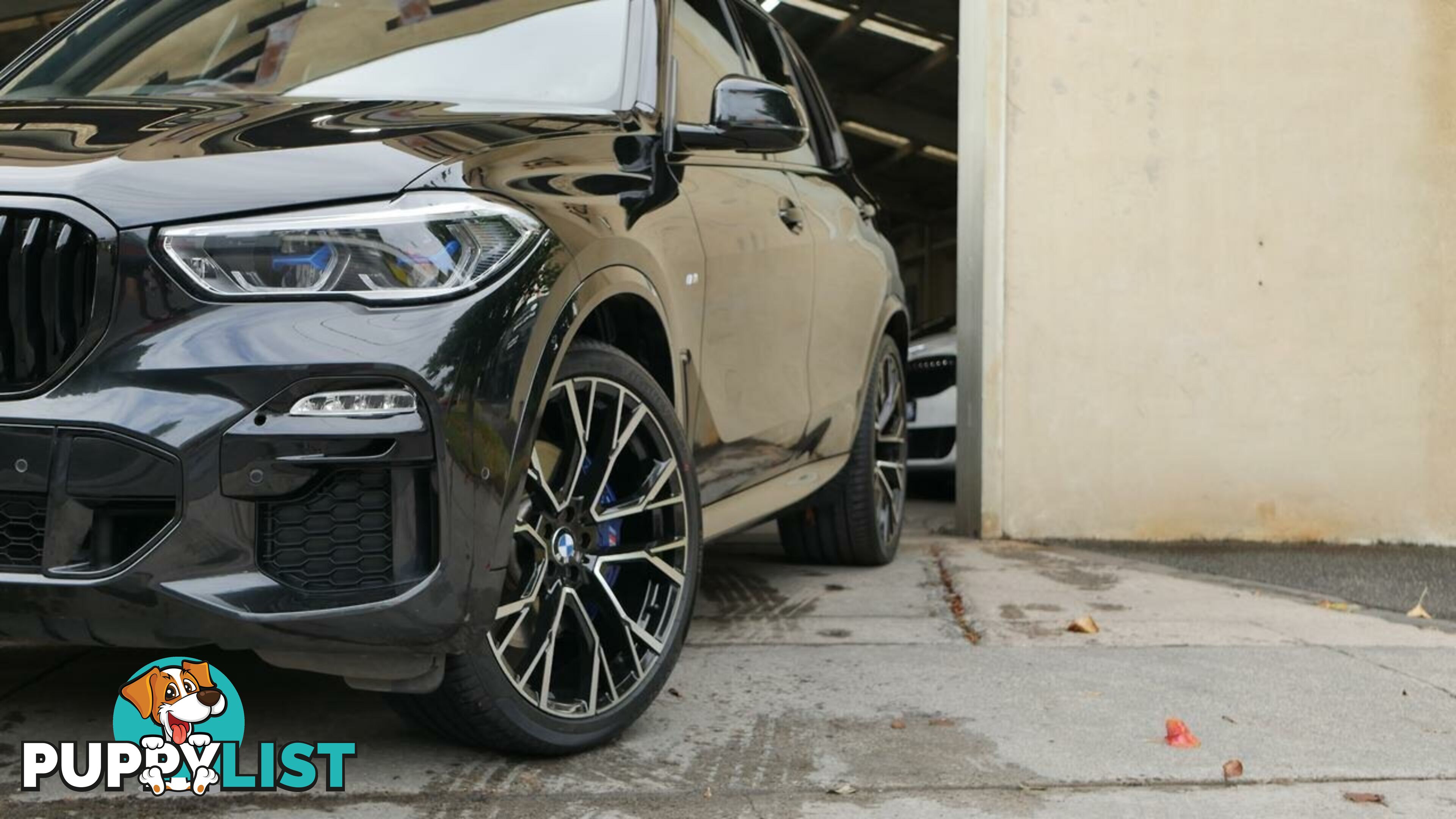 2020 BMW X5  G05 xDrive30d Steptronic M Sport Wagon