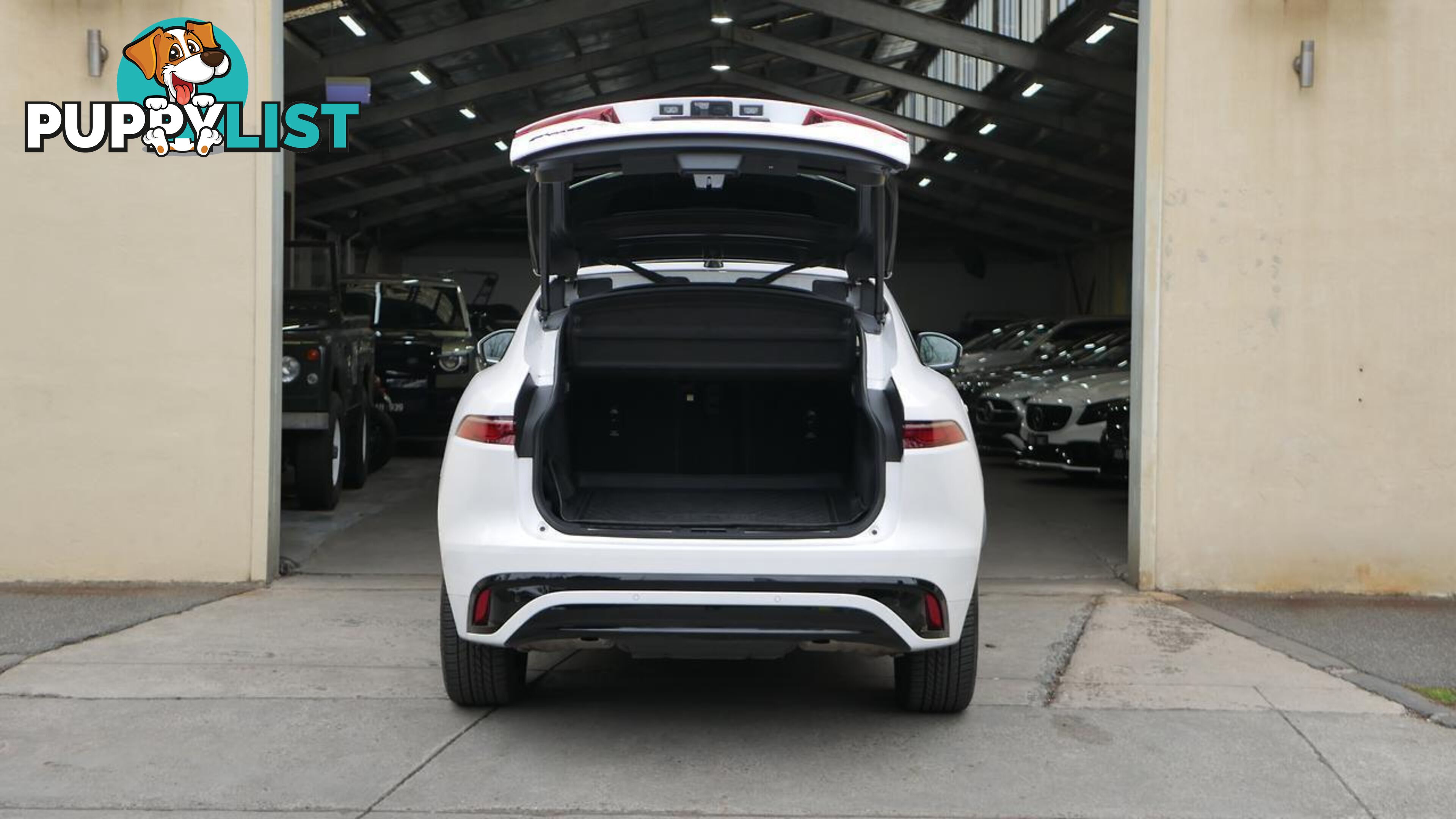2023 Jaguar F-PACE  X761 P250 AWD R-Dynamic SE Wagon