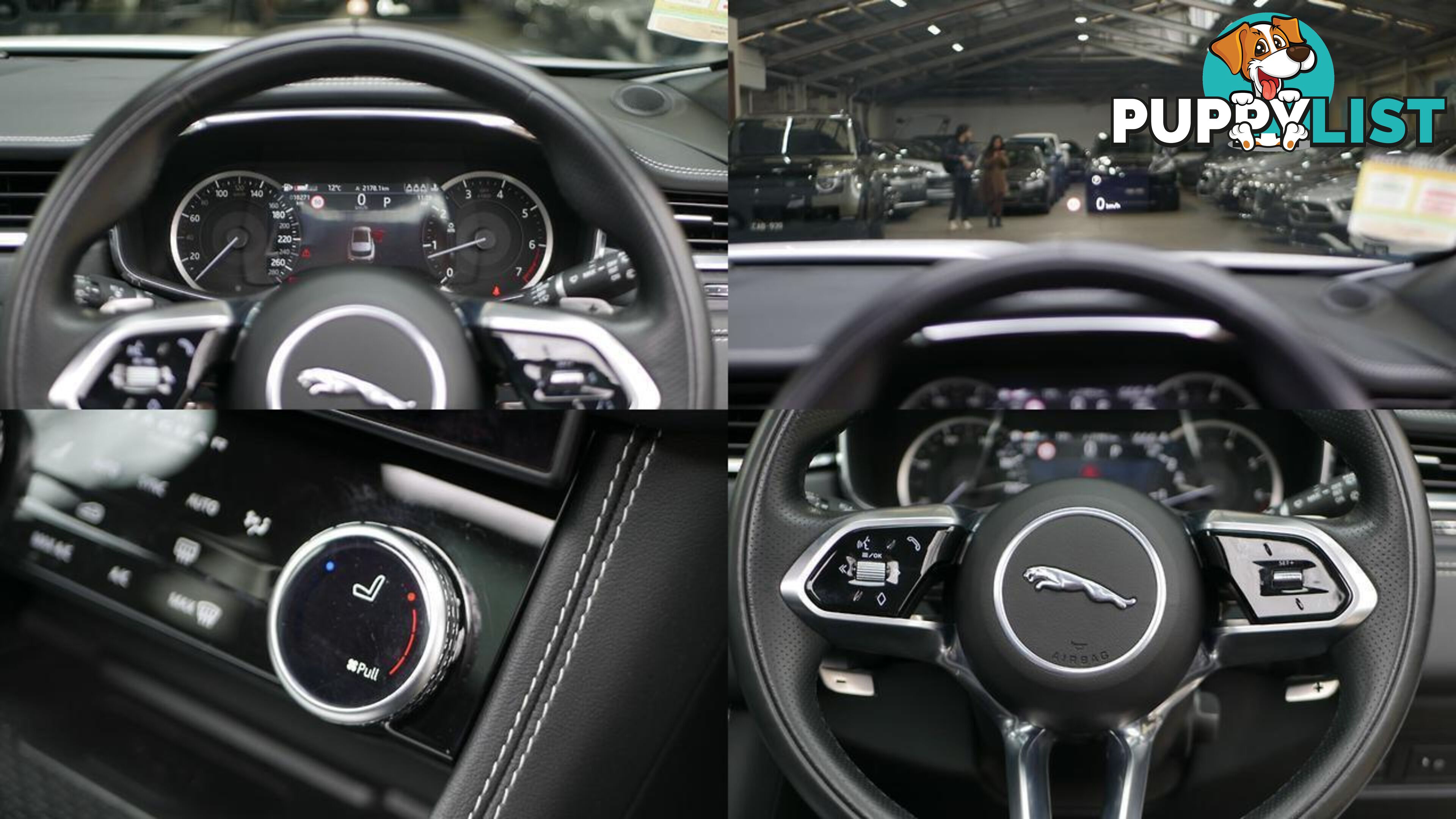 2023 Jaguar F-PACE  X761 P250 AWD R-Dynamic SE Wagon
