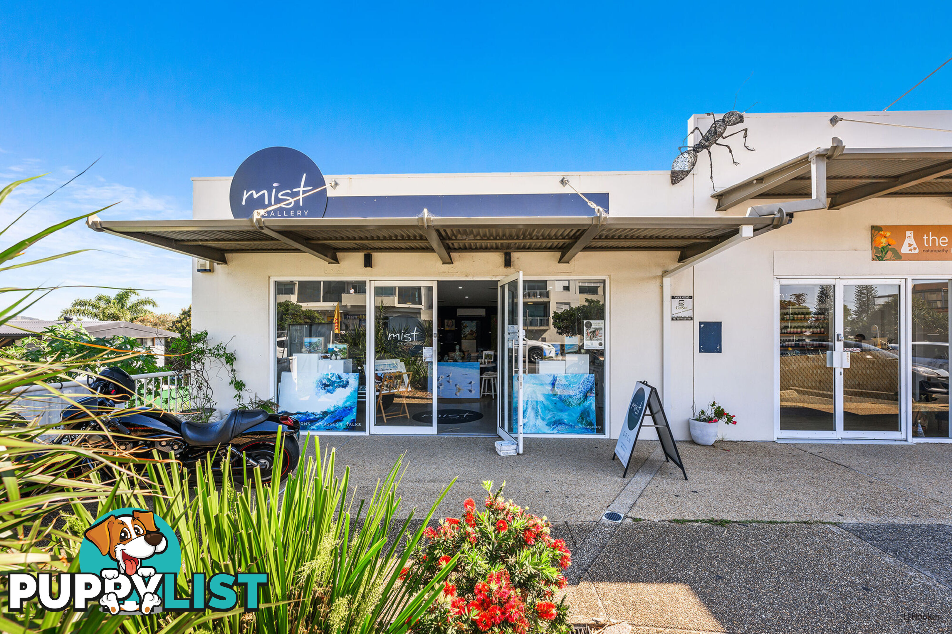 1b/51 Tweed Coast Road CABARITA BEACH NSW 2488