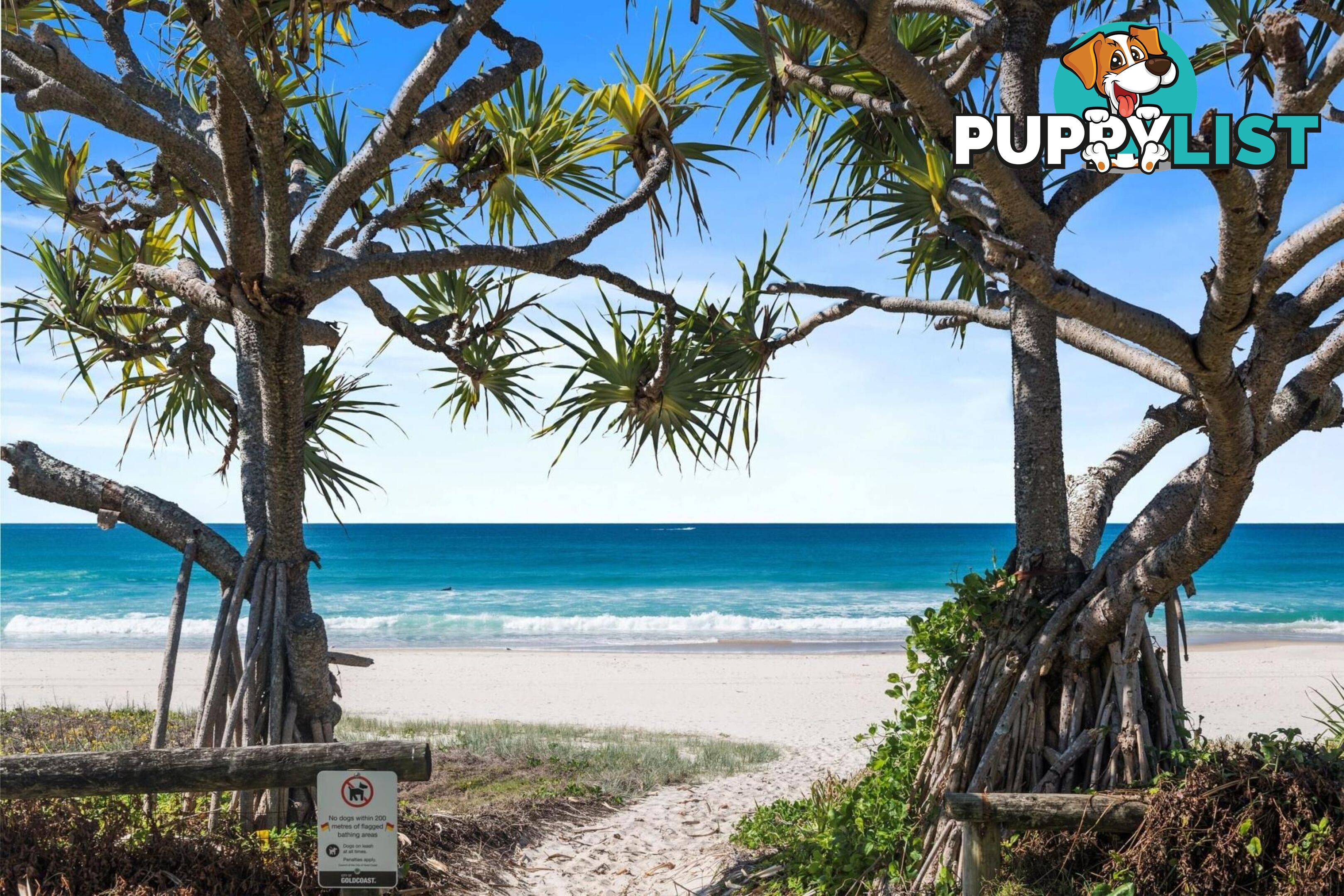 33/329 Golden Four Drive TUGUN QLD 4224