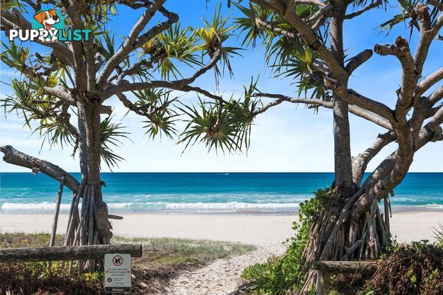 33/329 Golden Four Drive TUGUN QLD 4224