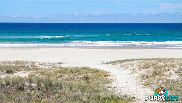 33/329 Golden Four Drive TUGUN QLD 4224