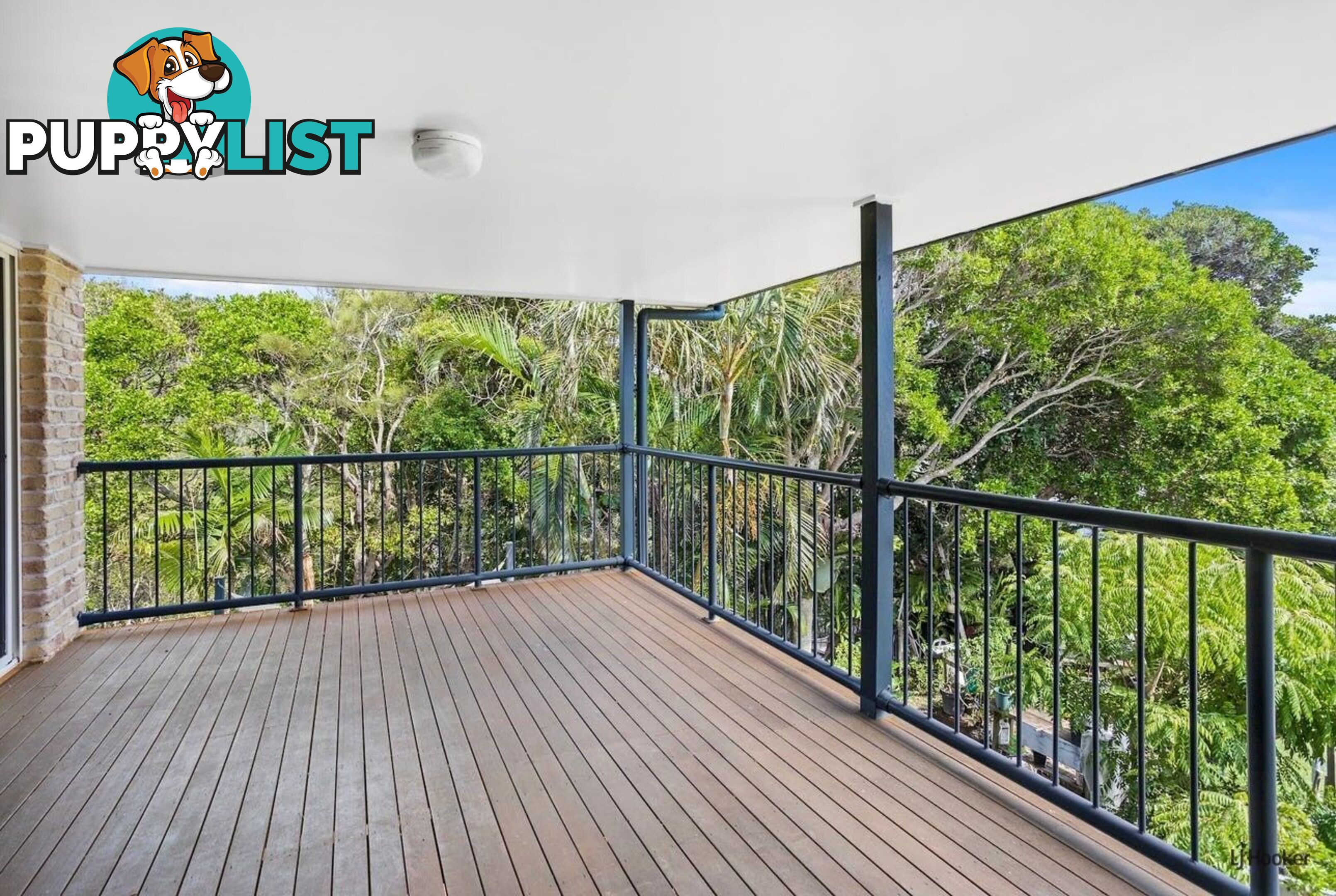 2/57 Tweed Coast Road HASTINGS POINT NSW 2489