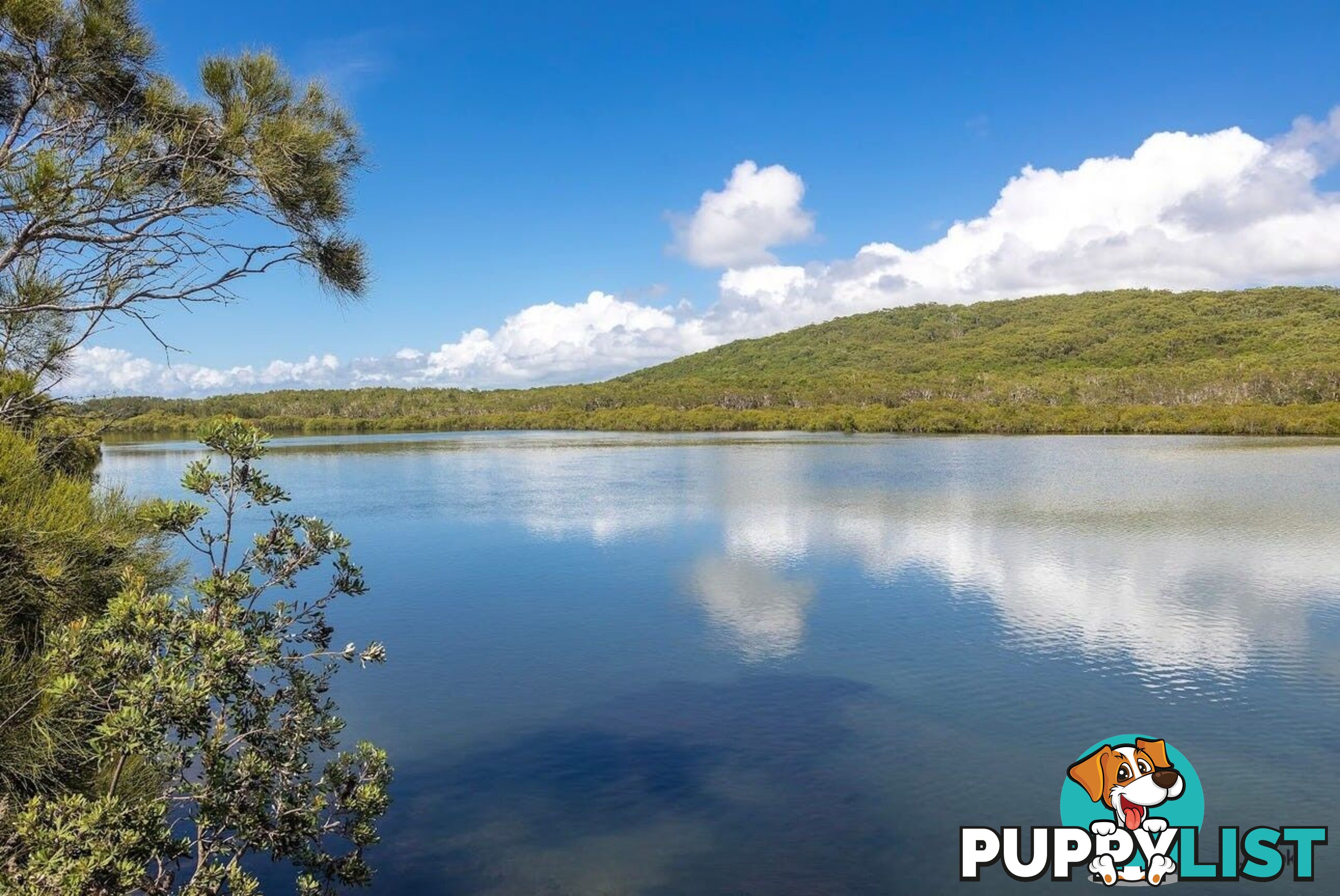 2/57 Tweed Coast Road HASTINGS POINT NSW 2489