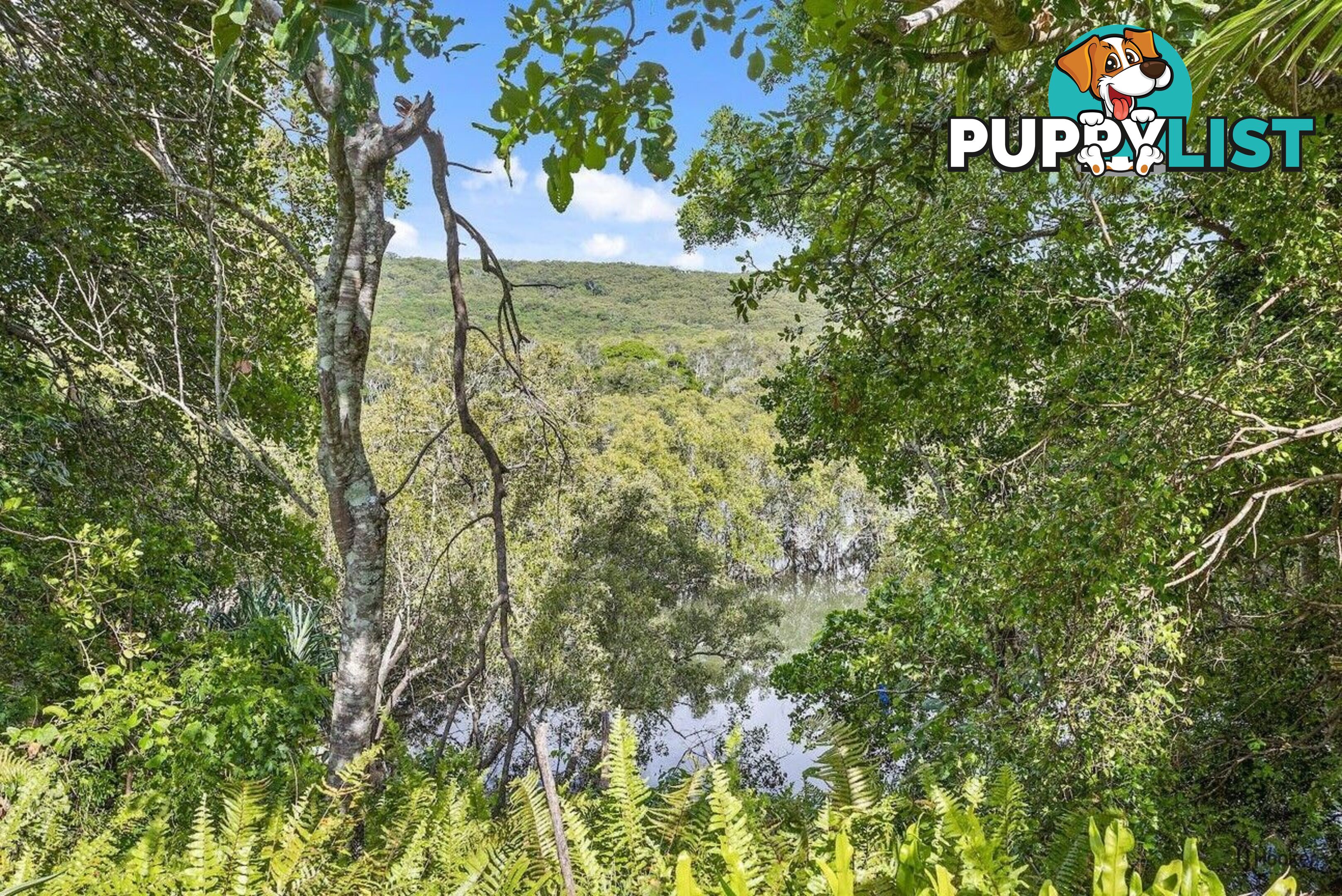 2/57 Tweed Coast Road HASTINGS POINT NSW 2489
