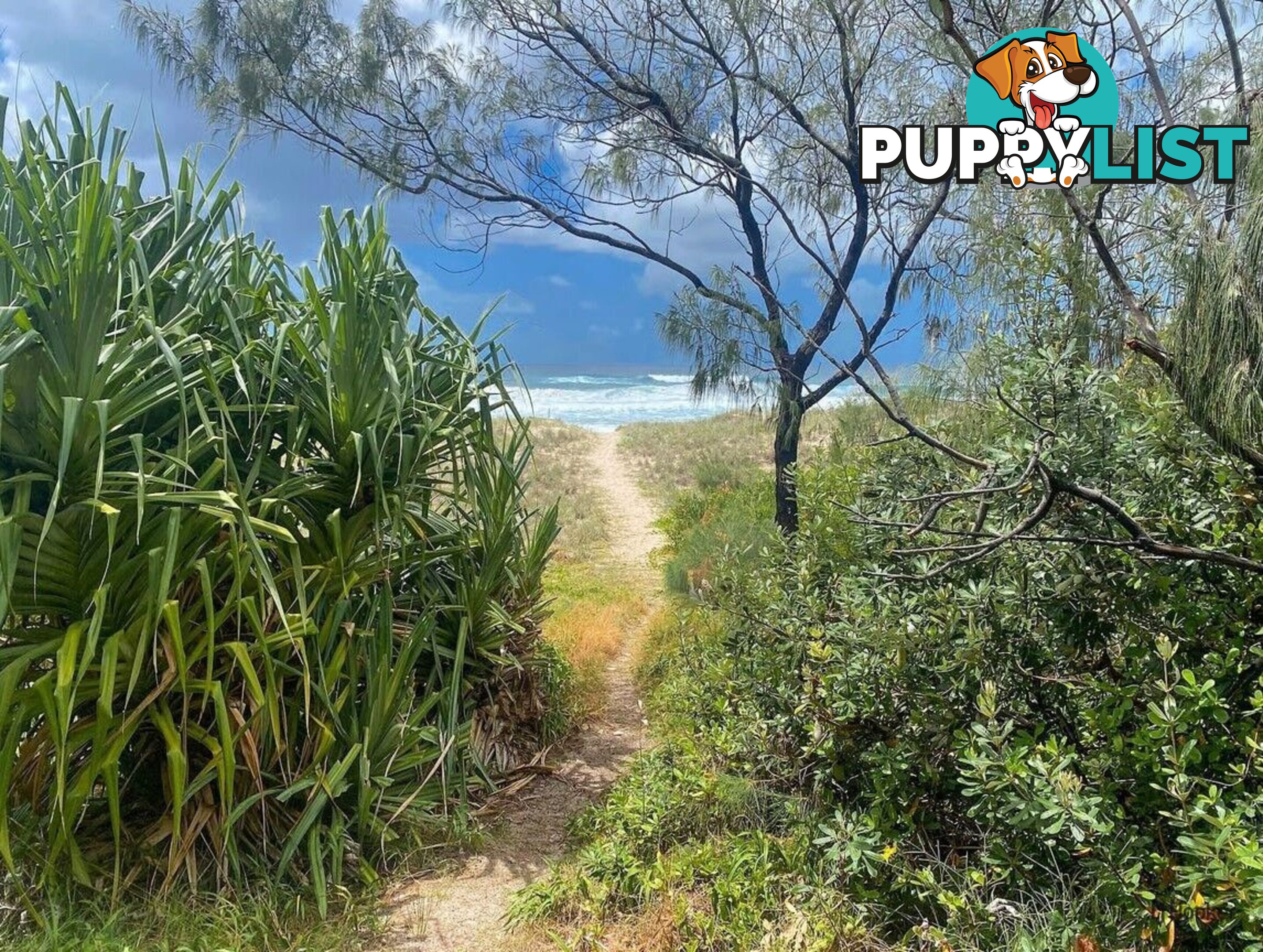 2/57 Tweed Coast Road HASTINGS POINT NSW 2489