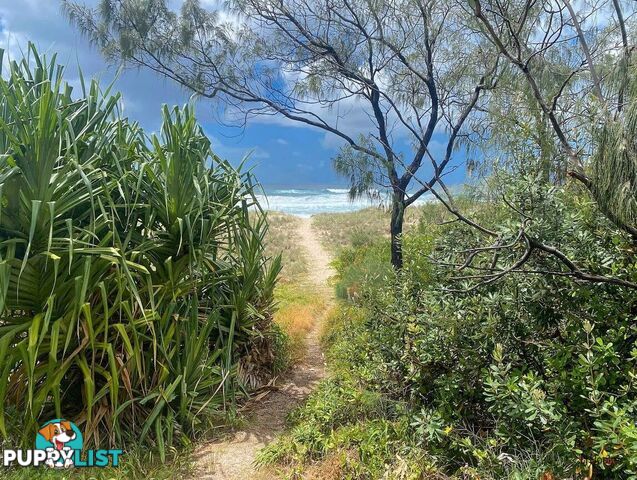 2/57 Tweed Coast Road HASTINGS POINT NSW 2489
