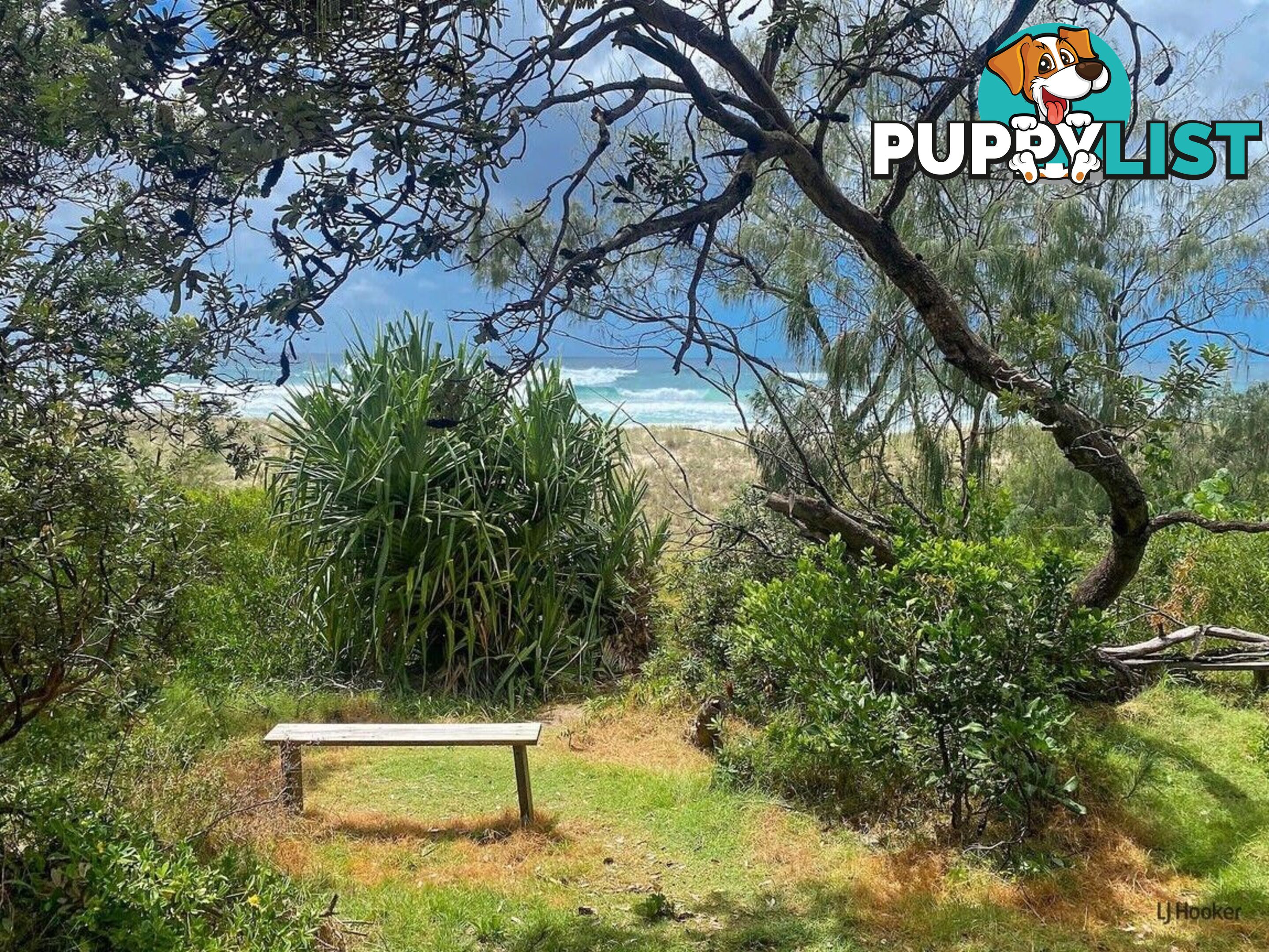2/57 Tweed Coast Road HASTINGS POINT NSW 2489