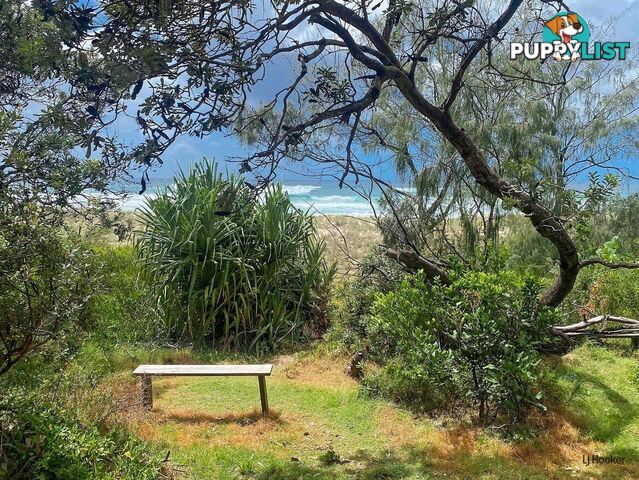 2/57 Tweed Coast Road HASTINGS POINT NSW 2489