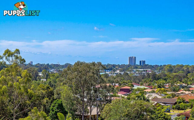 11 Kukulies Court CURRUMBIN WATERS QLD 4223