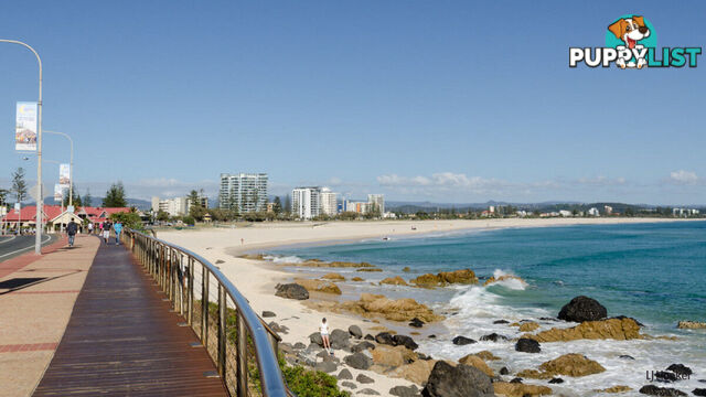 1/58 Pacific Parade BILINGA QLD 4225