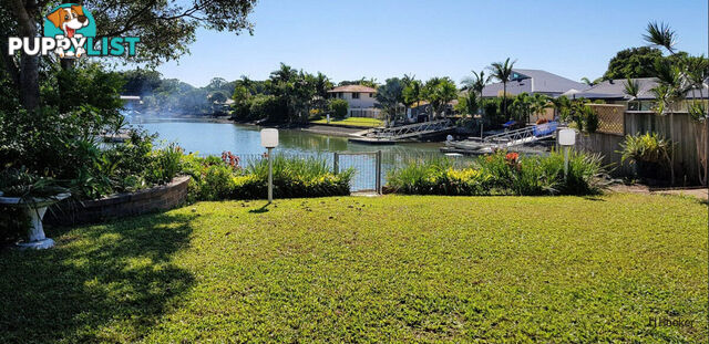 31 Mainsail Street CURRUMBIN WATERS QLD 4223