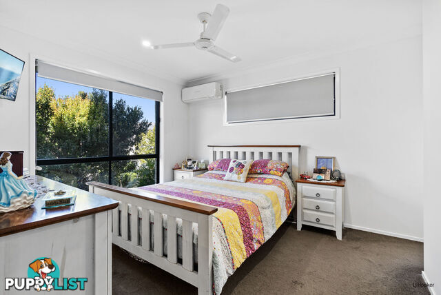 33 Talganda Terrace MURWILLUMBAH NSW 2484