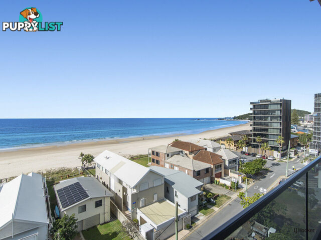 502/88 Jefferson Lane PALM BEACH QLD 4221