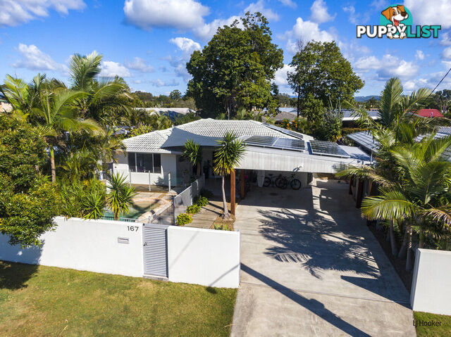 167 Mallawa Drive PALM BEACH QLD 4221