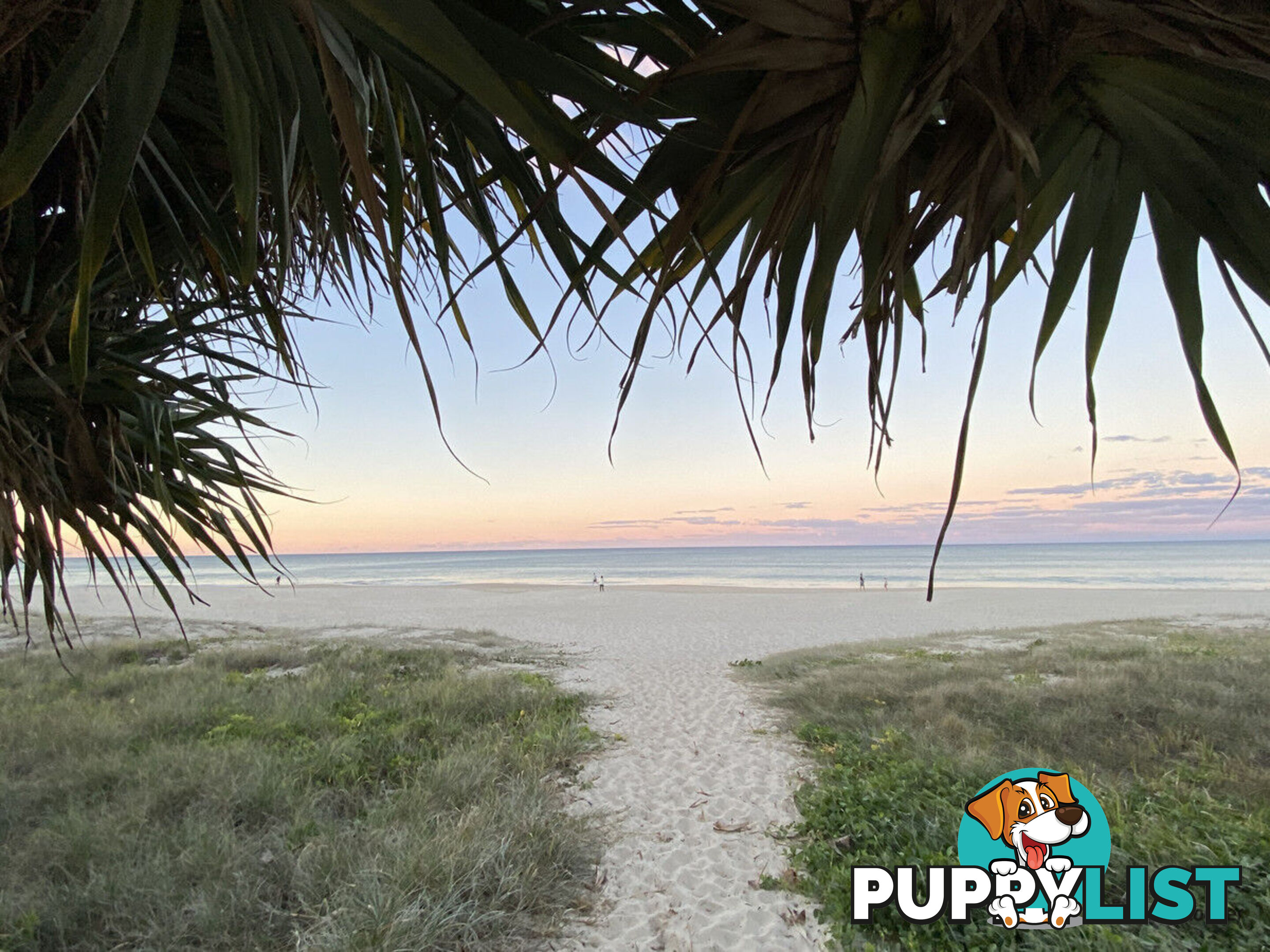6/7-9 Teemangum Street TUGUN QLD 4224