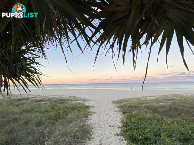 6/7-9 Teemangum Street TUGUN QLD 4224
