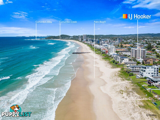 1/1187 Gold Coast Highway PALM BEACH QLD 4221