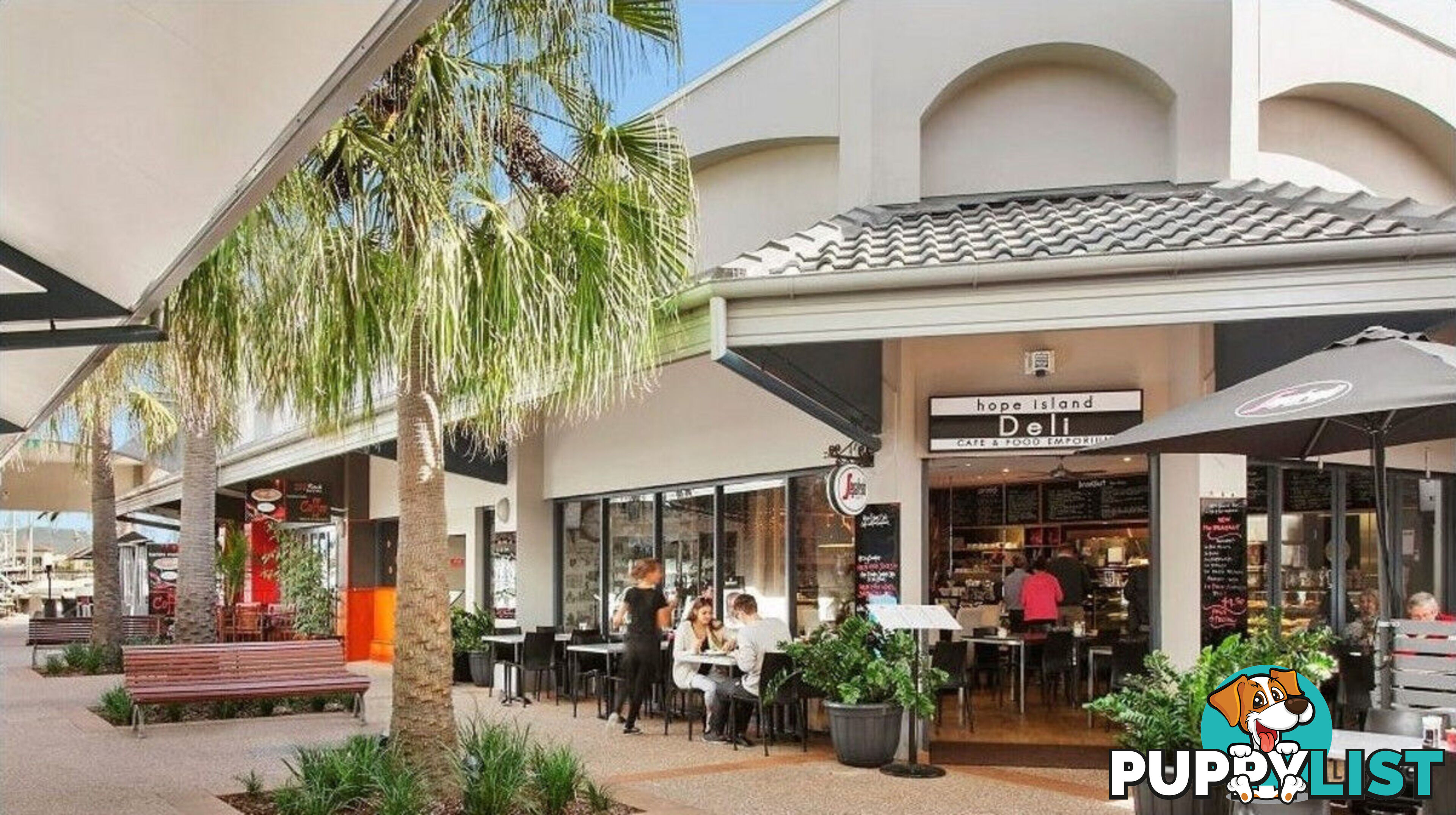 16/56 Harbourview Drive HOPE ISLAND QLD 4212