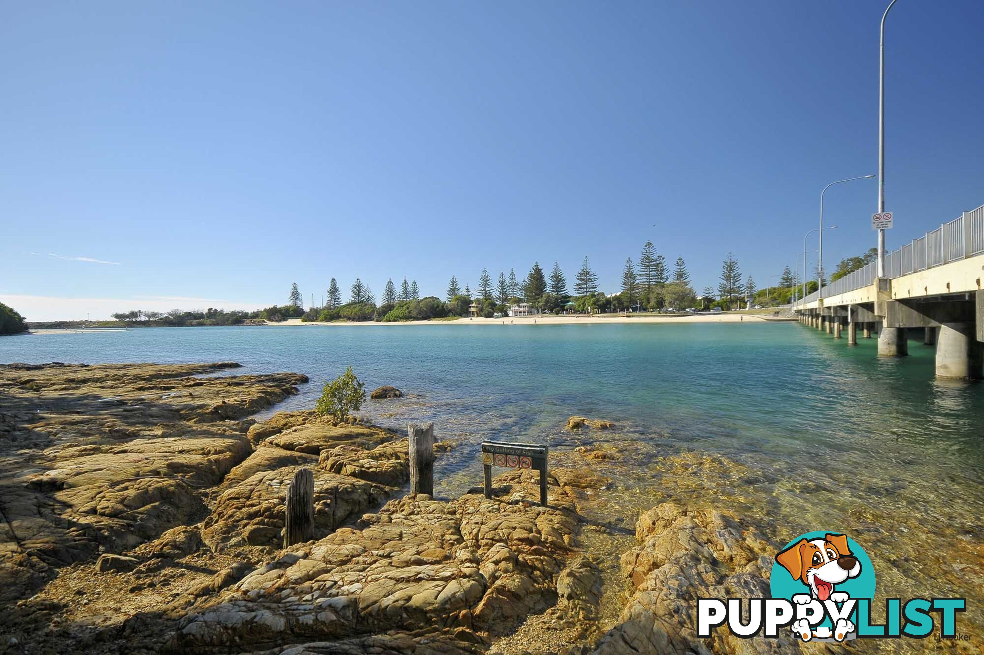 8/1444 Gold Coast Highway PALM BEACH QLD 4221