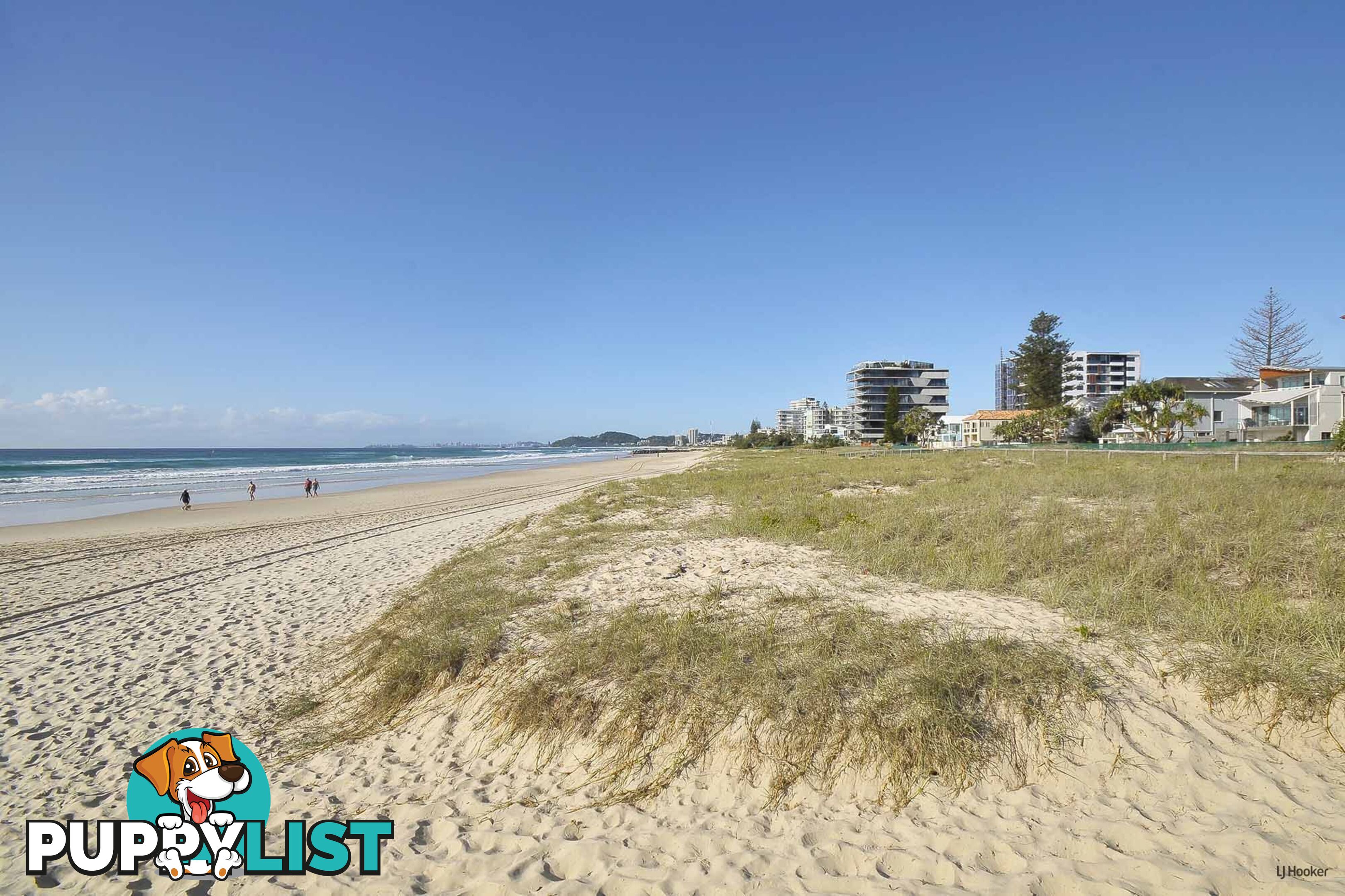 8/1444 Gold Coast Highway PALM BEACH QLD 4221