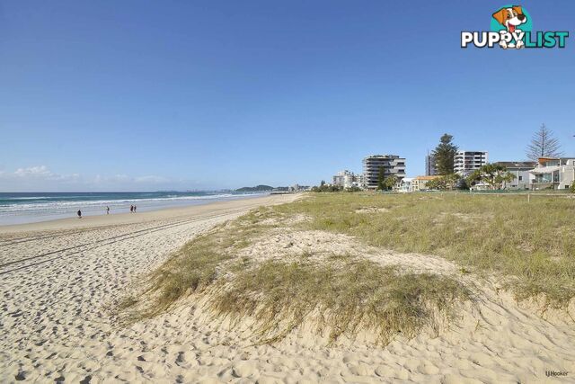 8/1444 Gold Coast Highway PALM BEACH QLD 4221