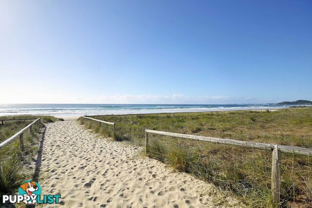 8/1444 Gold Coast Highway PALM BEACH QLD 4221