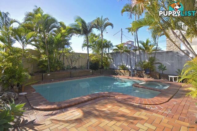 8/1444 Gold Coast Highway PALM BEACH QLD 4221