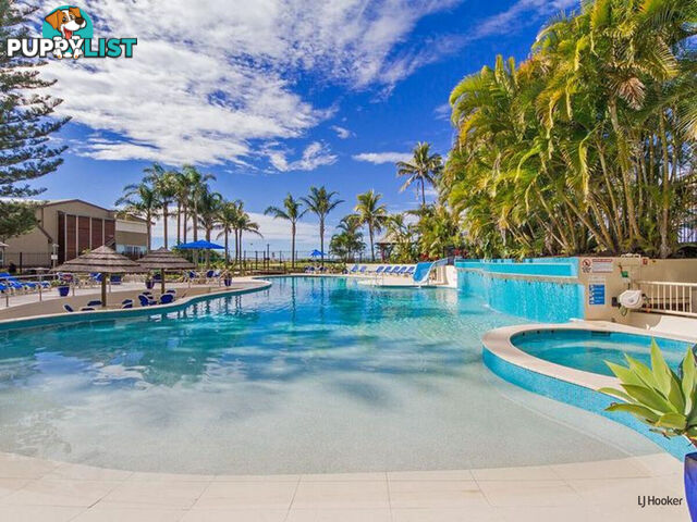 9C/973 Gold Coast Highway PALM BEACH QLD 4221
