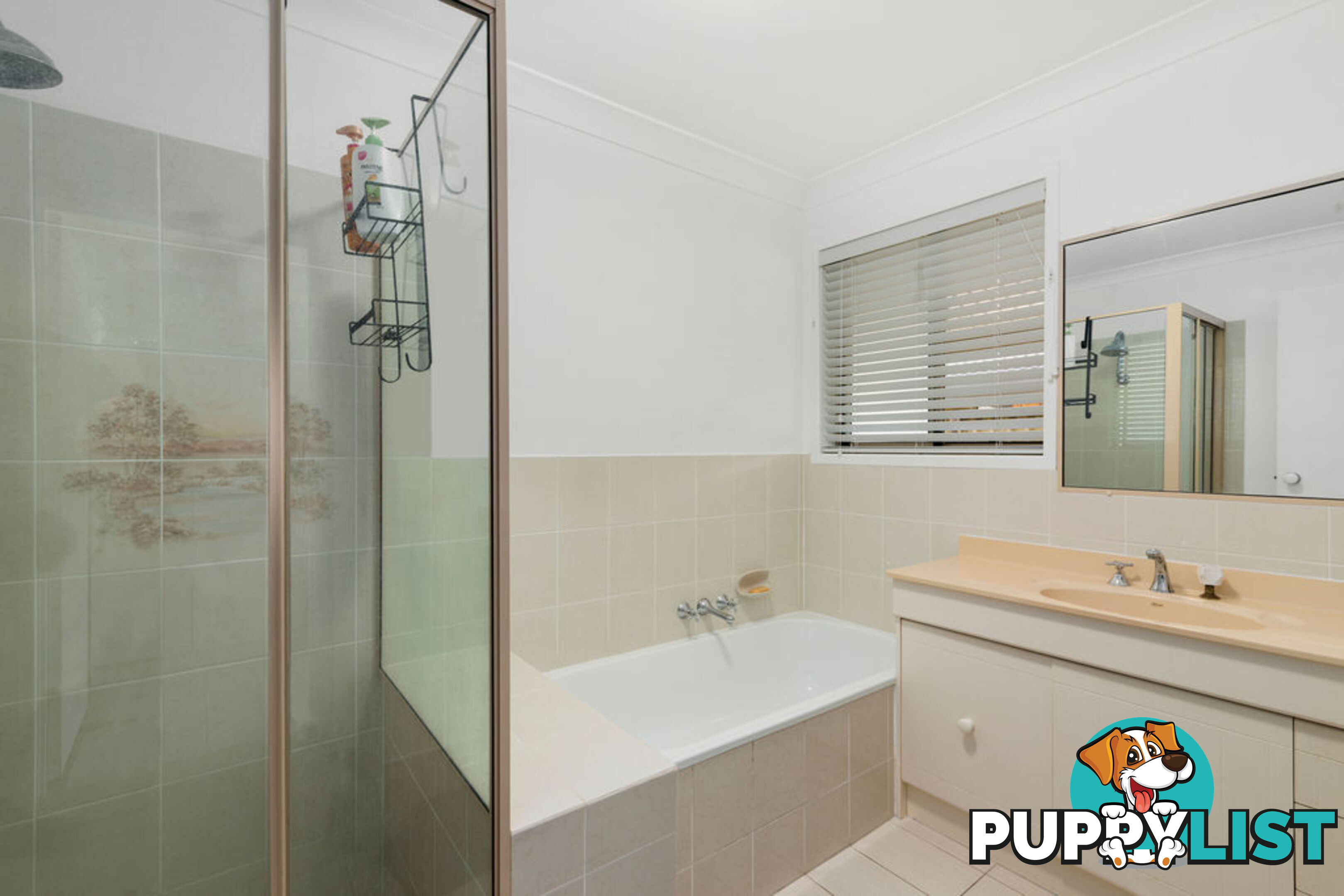 29 Boab Street ELANORA QLD 4221